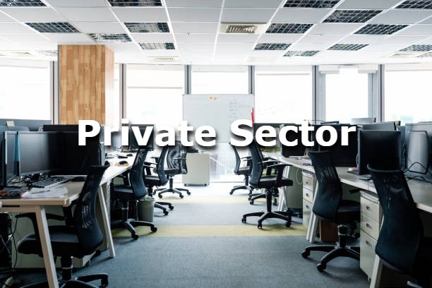 private sector1